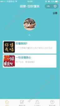 胡撩答题软件探秘 功能、安全性与重庆软件开发环境解析